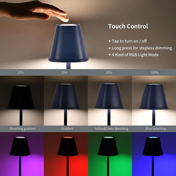LED Cordless Table Lamp, Battery Operated Lamp, Touch Night Light, Minimalist Portable Desk Lamp for Couple Dinner