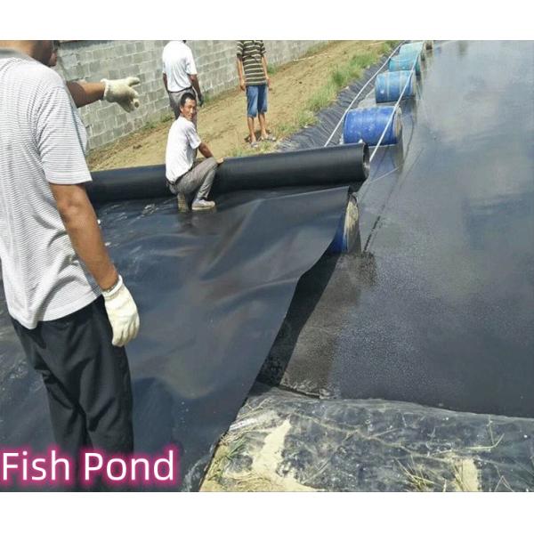 1mm 2mm Geomembrane for Fish Ponds and Landfill Sites Length 50-200m Modern Design