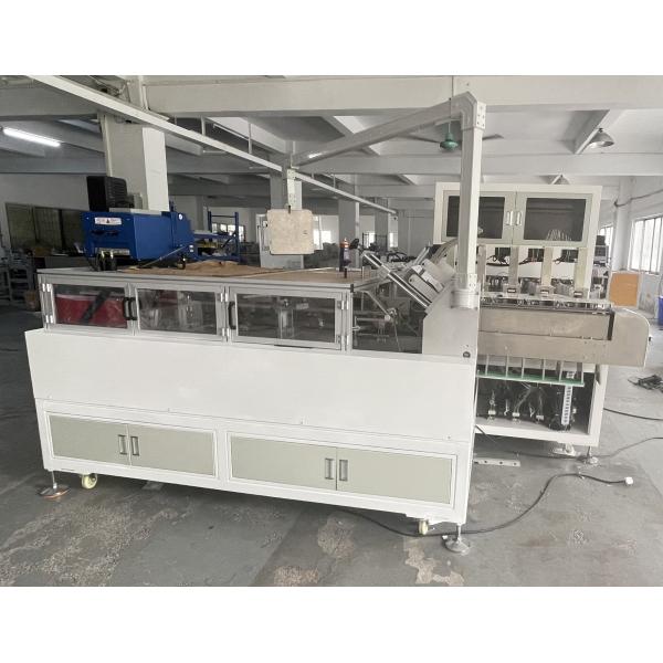 Fully Automatic Carton Box Packaging Machine Vertical Mask Packing Cartoning Machine