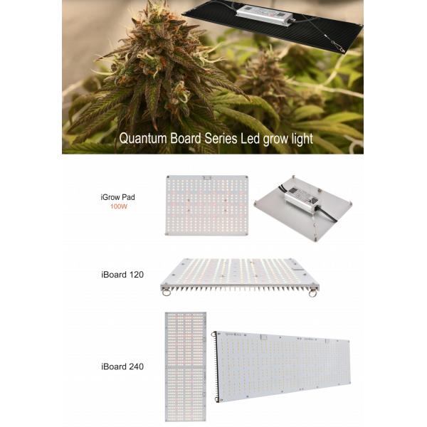 UV LED Grow Lights 120W IP66 Waterproof 6500k Samsung 301h ETL CE Listed Full Spectrum Quant