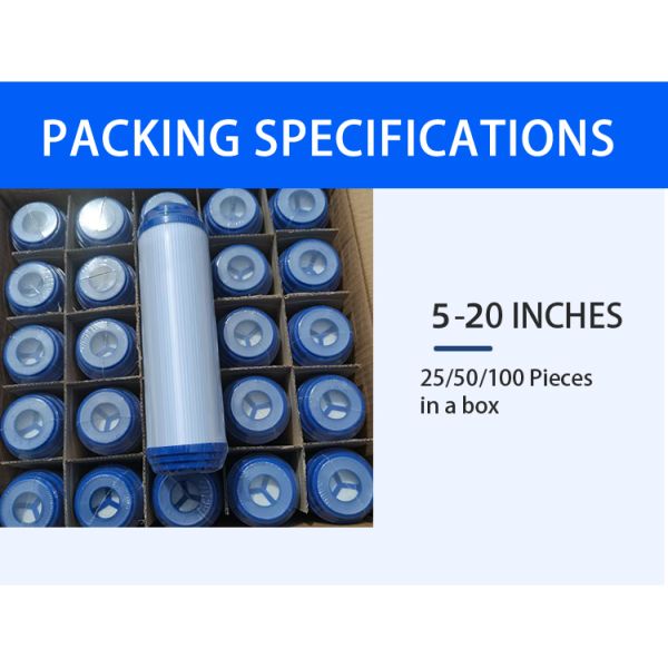 10 Inch Granular Activated Carbon Inline Filter Cartridge for Removing Odor Chlorine