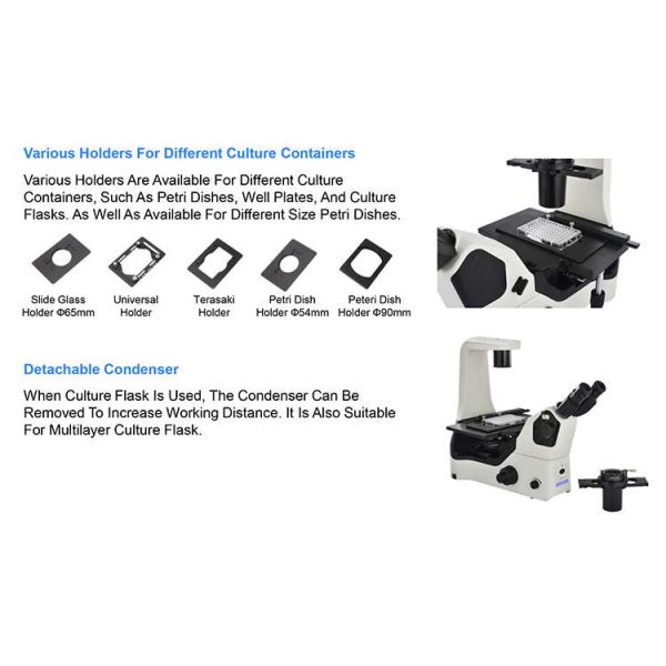 OPTO EDU A16.1063 LED Inverted Fluorescence Microscope