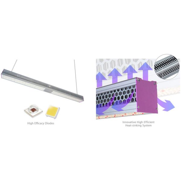 Efficient Commercial Greenhouse LED Grow Lights 60Hz Ip65 For Plants