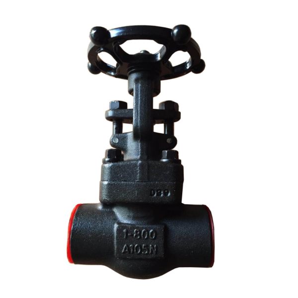 pressure 800LB ANSI standard forged globe valve