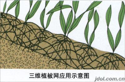 Online Technical Support 3D Erosion Control Geonet for Road Mountain Slope Protection