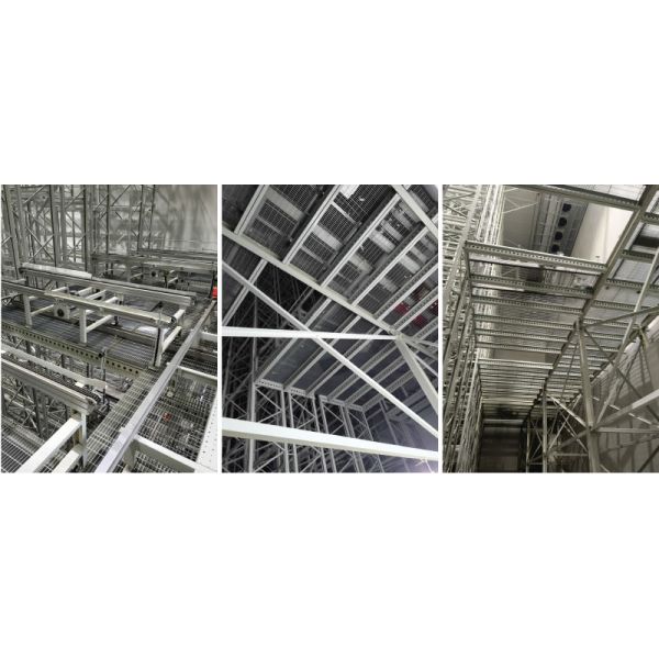 Cold Storage Warehouse ASRS