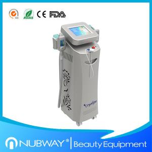 China Fat freeze  cryolipolysis slimming machine  for fat reduce loss weight for spa on sale