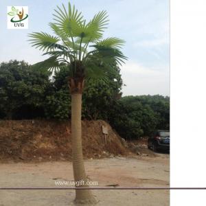 China UVG PTR038 eco friendly decorative outdoor fake palm trees for sale on sale