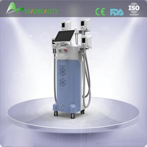 Quality fast and effective slim user manual cryolipolysis for sale