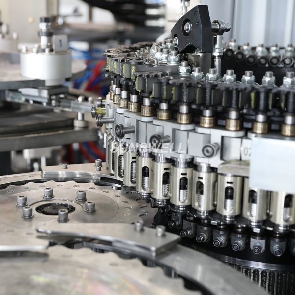Stretch Automatic Blow Molding Machines 2000ml Pet Water Bottle