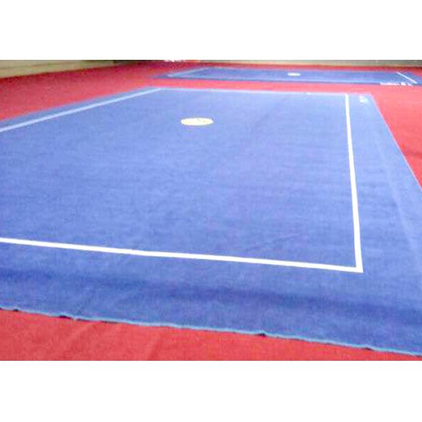 IWUF Competition Taolu Carpet Gymnastics Training Mats For Wushu Training