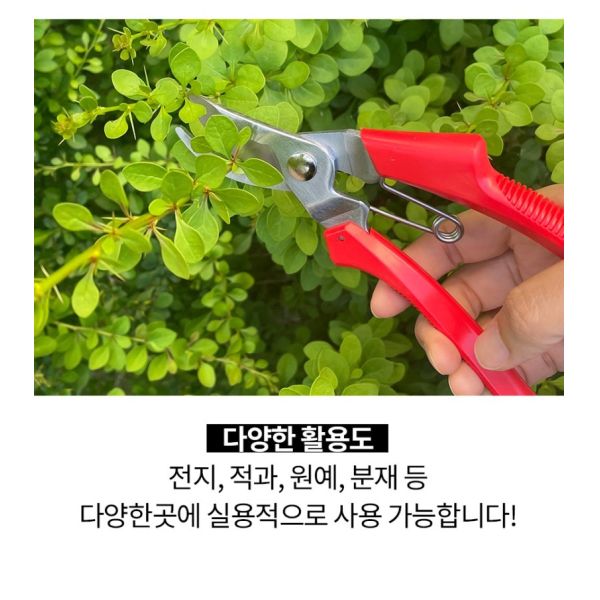 Scissors Handheld Yard Tree Tool Titanium Pruning Shears Heavy Duty Bypass Pruner Garden Secateurs Garden Tool