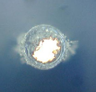 SME 24 Nozzle Cleaning Machine