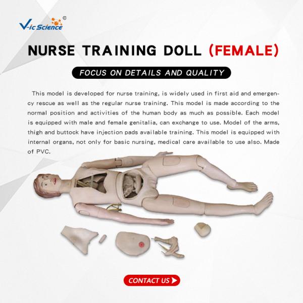 Custom Style CPR Training Manikins Nurse Training Doll Female With Longlife