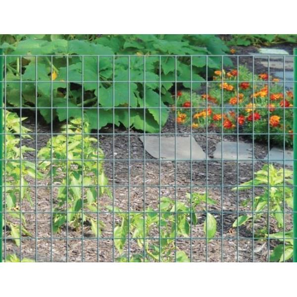 Green PVC Coated Welded Wire Mesh Rolls with 0.35mm-6mm Wire Diameter and 1/2''*1'' Hole Size for Fencing