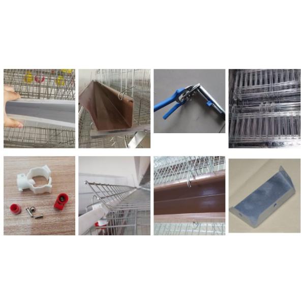 Hot Galvanized Automatic Wire Chicken Cages For Growing Broilers And Pullets