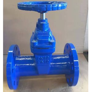 low pressure PN10 DIN resilient seal F5 gate valve