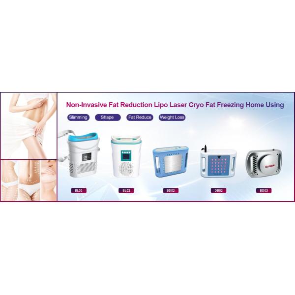 12V Cool Mini Fat Reduction Cryolipolysis Slimming Machine