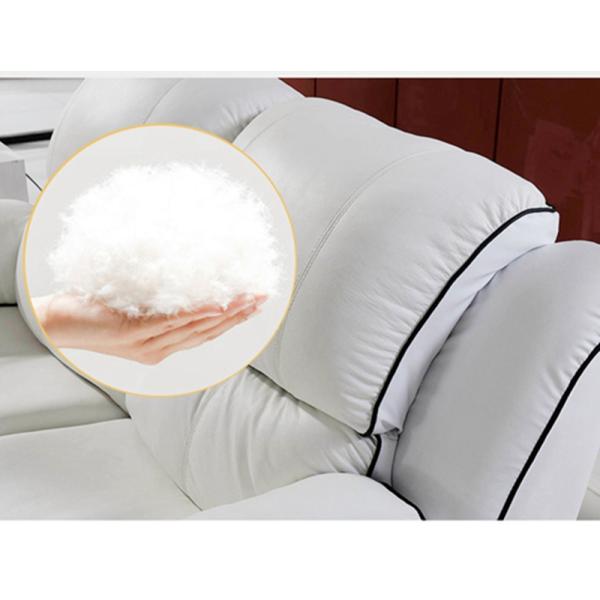 BN Functional Sofa Reclining Function Home Theater VIP Lounge Single Double Three Seats Manual Electric Recliner Sofa