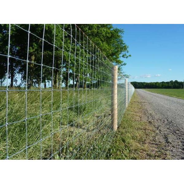 Hot Dip Galvanised Wire Field Fence Height 2m High Strength Woven