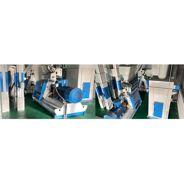 Animal Feed Cow Robbit Chicken Feed Pellet Making Machine Ring Die Type 5t/h