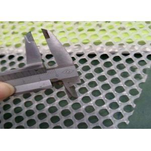 1.2mm hole 2mm Plastic Netting Roll