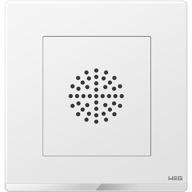 Thick Anti Rust Steel Plate W7SG 250V 10A Wall Mounted Plug Socket