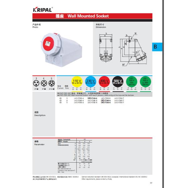 Wall Mounting 63A 3P 230V Surface Socket Outlets