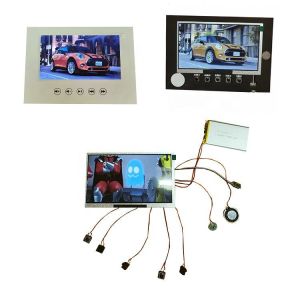wholesale High Quality 10.1 Inch TFT LCD Video Module/video player /mini screen