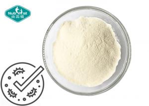Quality Multi-strains Probiotics Strain Powder Probiotics premix powder for Immune System Health for sale