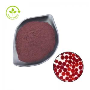 China China/US/Canada/Germany/Netherlands Warehouse Supply 2% 5% Pure Red Astaxanthin Powder on sale