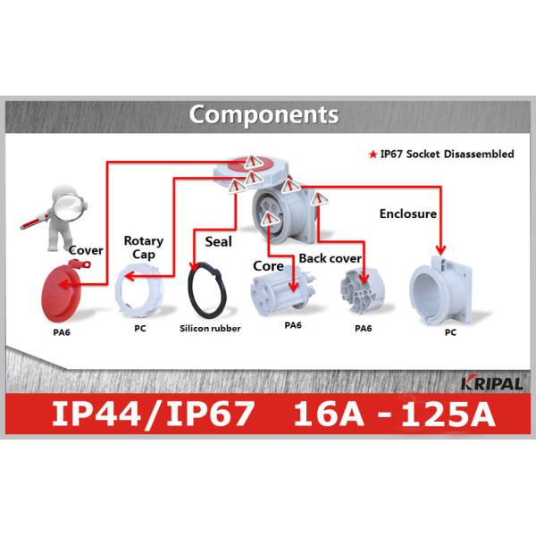 IEC CEE Single Phase Industrial Electrical Sockets And Plugs OEM