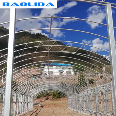 Large Double Arch 4.5m Multi Span Greenhouse Stable Structure Layer 0.15 Film