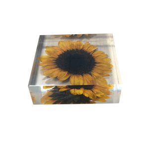 Quality Cubic acrylic resin paper weight with insect and flowers inside acrylic paperweight for sale