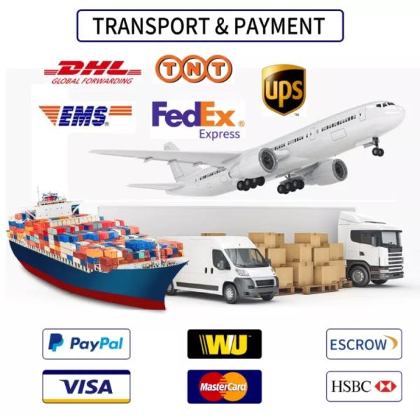 Factory Supplier ROG 20V 5A 100W USB C AC Adapter 100W Type C Charger A20-100P1A for ASUS ROG Flow X13 Z13 GV301 GZ301 G533QM