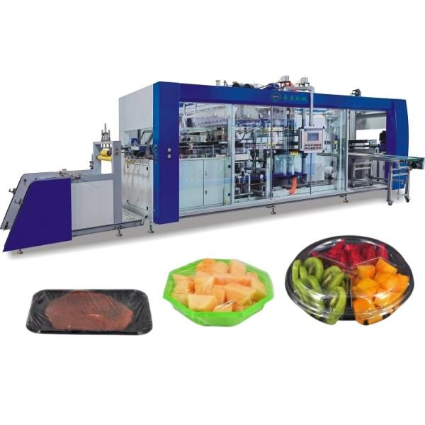 Blister Forming Machine Integrated Cutting Stacking Inline