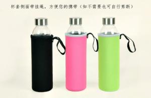 China BPA FREE recycled Borosilicate Glass sport Water Bottles with Cover 280ml 550ml on sale