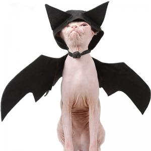 Quality 100g Halloween Pet Bat Wings Black Cool Dog Cat Bat Hat Disguise Pet Costume for sale