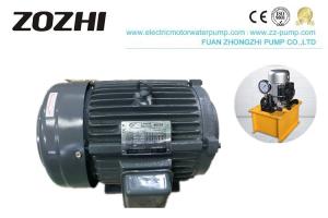 Quality 7.5HP 10KW Hollow Shaft Hydraulic Motor YT132M-4 For Power Pump Hydraulic Station for sale