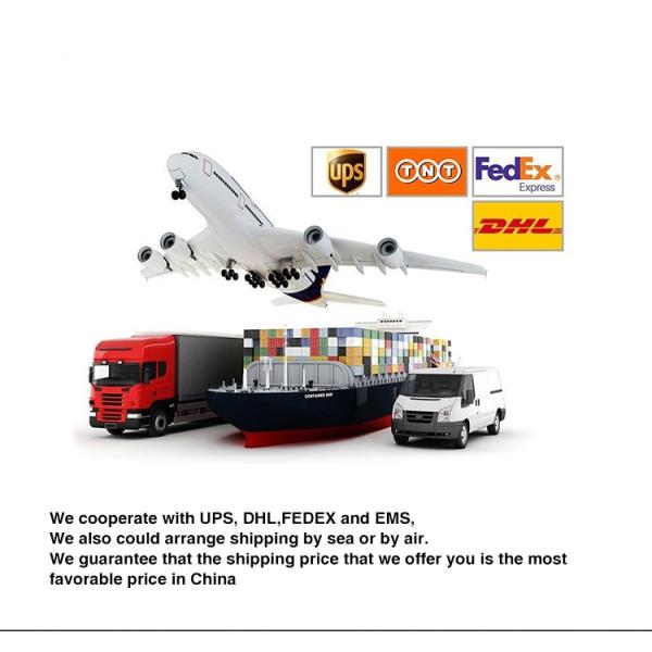 CE Certification Black Horse-Riders Body Vest for Lightweight Care and Protection