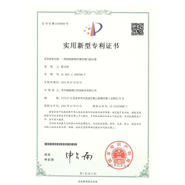 Custom Explosion Proof Actuator IP67 Multi Turn Electric Valve Actuator