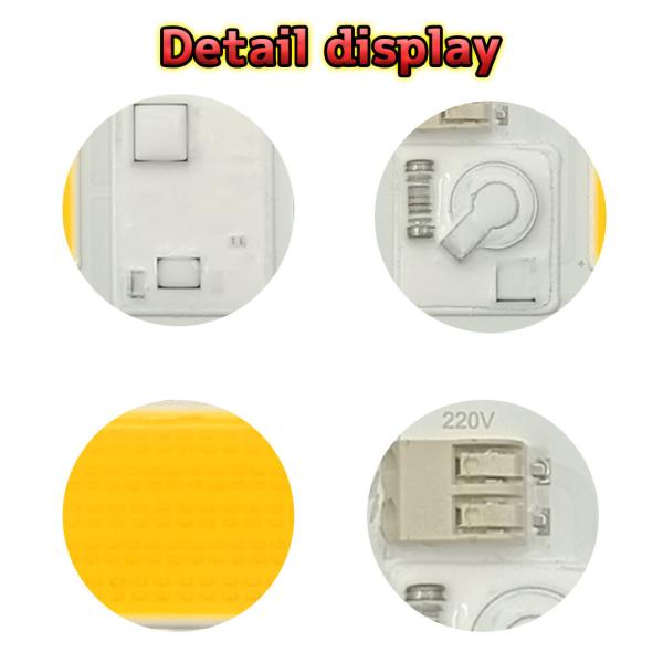 50HZ COB Led Chip