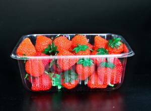 Disposable plastic fruit vegetable food packaging tray 500 grams strawberry packaging tray PET plastic box for fruit