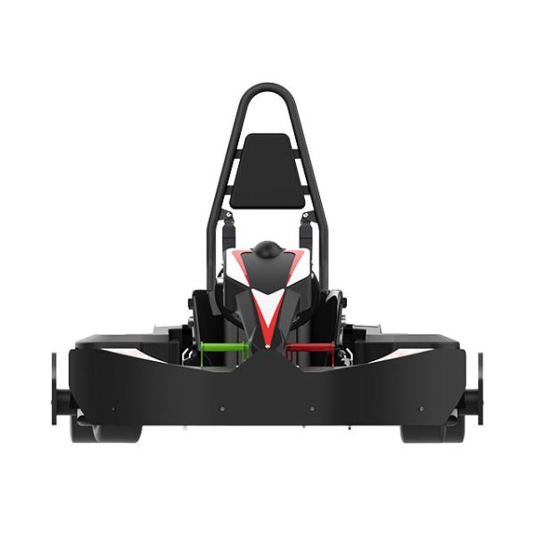 Remote Control 14Nm Motorized Go Karts For Adults Racing 175Kg