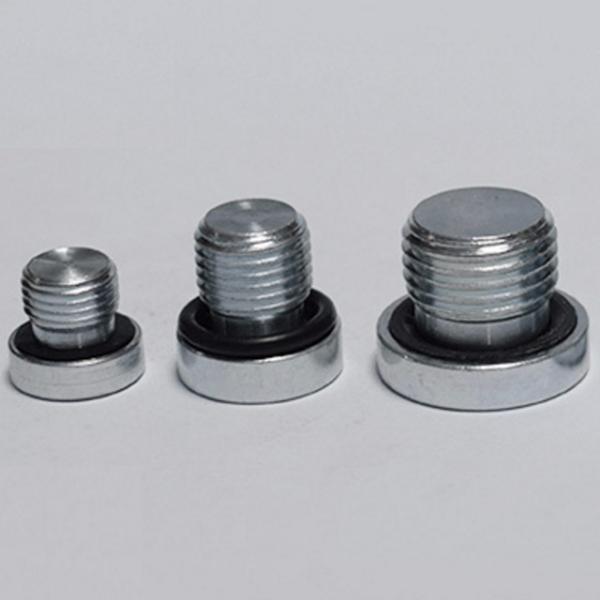 ASME Round Head 3000LB 36" Socket Male Threaded Plug