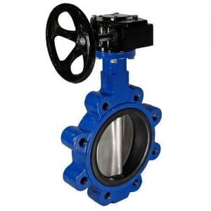 China Cast Iron Lag Type Gear Operated Butterfly Valves 200Psi 15mm To 300Mm on sale