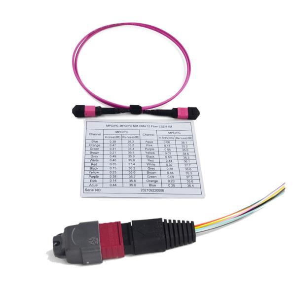 3.0mm LSZH Round MPO MTP Patch Cord Multimode Duplex 10G OM3 OM4