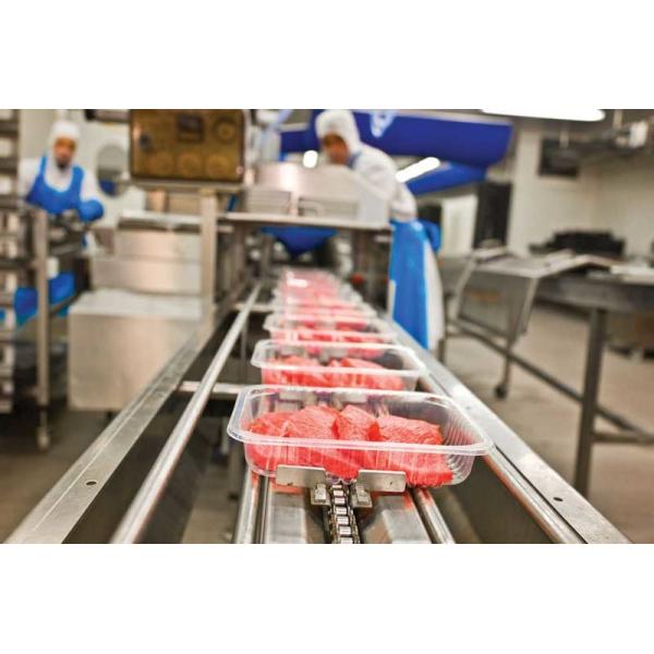 Plastic Box Compact Tray Packing Machine Food Container Sealing Machine