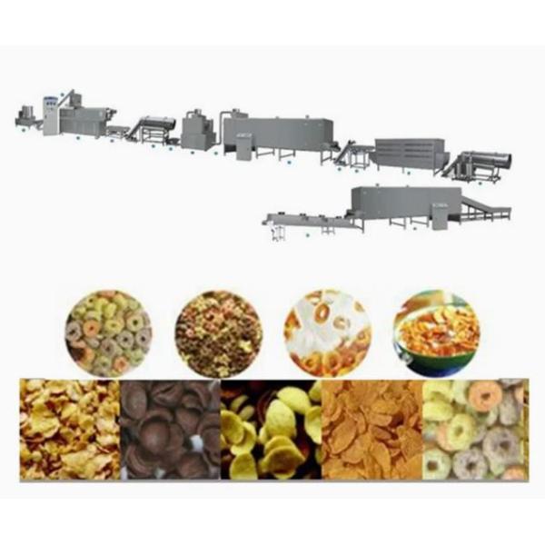 Corn Flakes Processing Line with two screw extruder