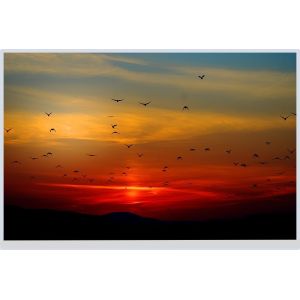 40 Pin 1280x800 Display LVDS Interface High Brightness TFT 10.1 Inch LCD Display